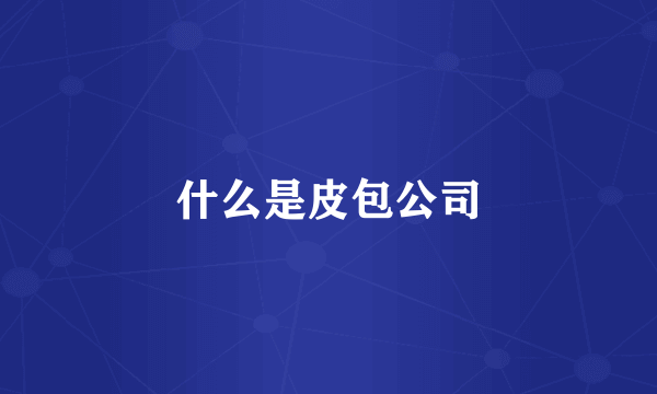什么是皮包公司