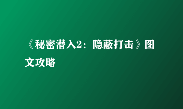 《秘密潜入2：隐蔽打击》图文攻略