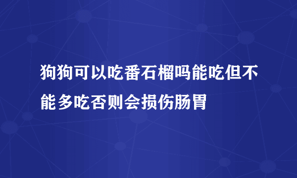 狗狗可以吃番石榴吗能吃但不能多吃否则会损伤肠胃