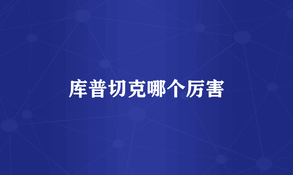 库普切克哪个厉害