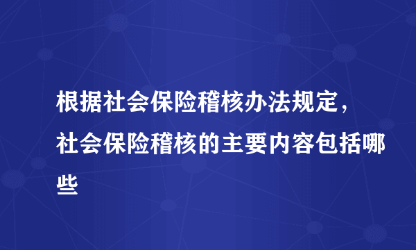 根据社会保险稽核办法规定，社会保险稽核的主要内容包括哪些