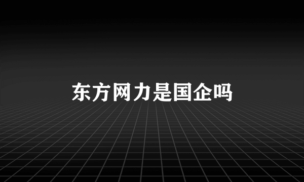 东方网力是国企吗