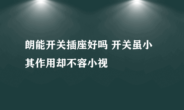 朗能开关插座好吗 开关虽小其作用却不容小视