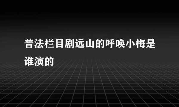 普法栏目剧远山的呼唤小梅是谁演的