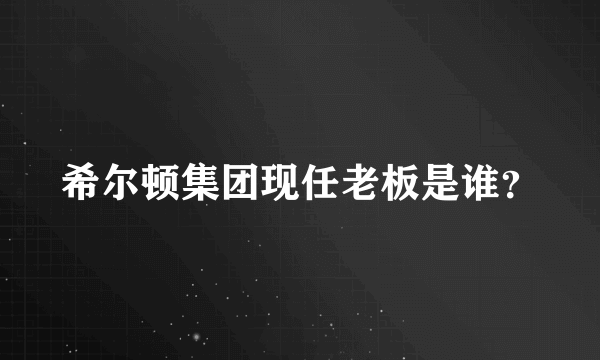希尔顿集团现任老板是谁？