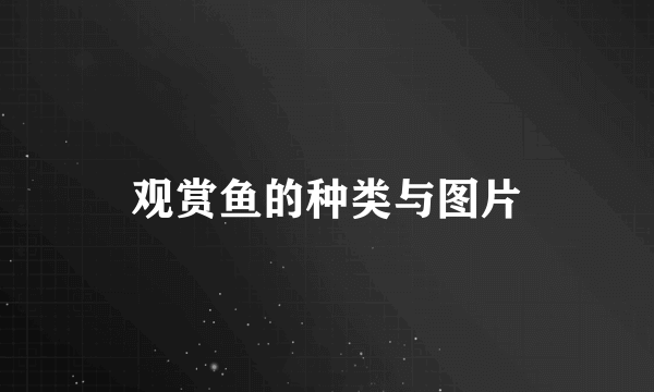 观赏鱼的种类与图片