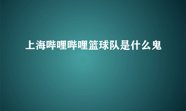 上海哔哩哔哩篮球队是什么鬼