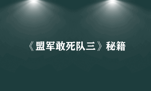 《盟军敢死队三》秘籍