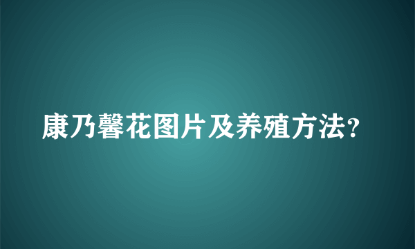 康乃馨花图片及养殖方法？