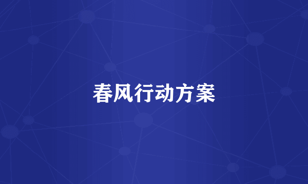 春风行动方案
