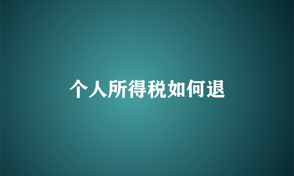 个人所得税如何退