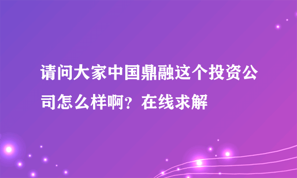 请问大家中国鼎融这个投资公司怎么样啊？在线求解