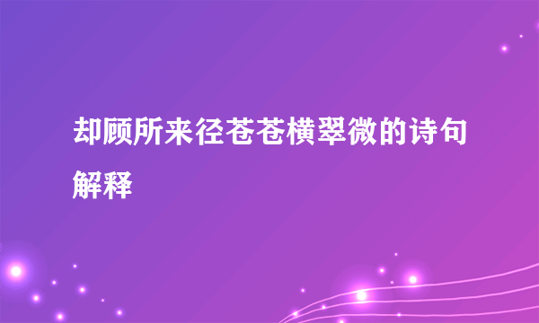 却顾所来径苍苍横翠微的诗句解释