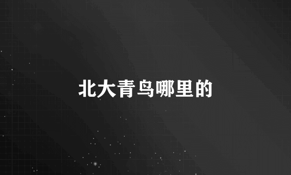 北大青鸟哪里的