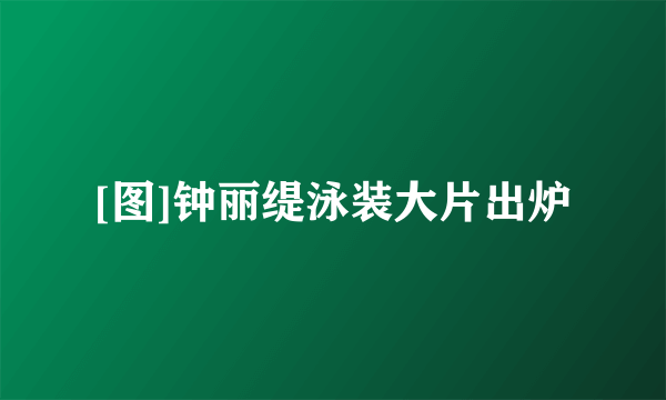 [图]钟丽缇泳装大片出炉