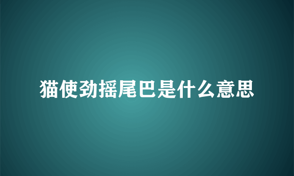 猫使劲摇尾巴是什么意思