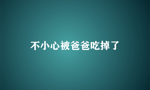 不小心被爸爸吃掉了