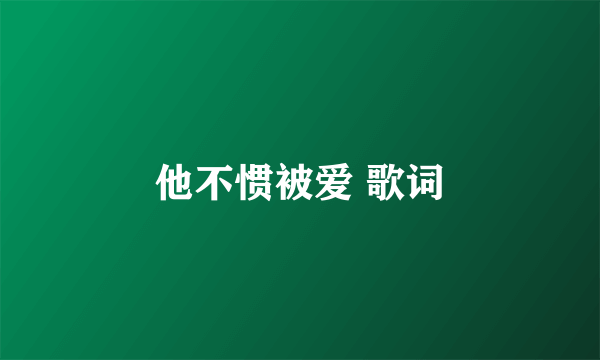 他不惯被爱 歌词
