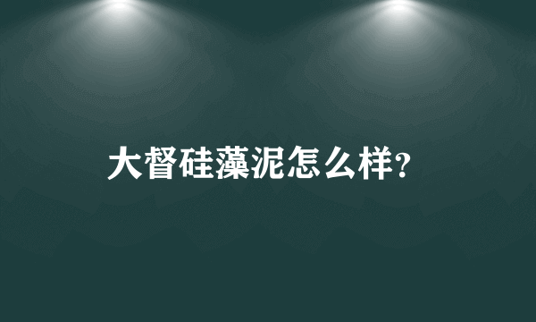 大督硅藻泥怎么样？