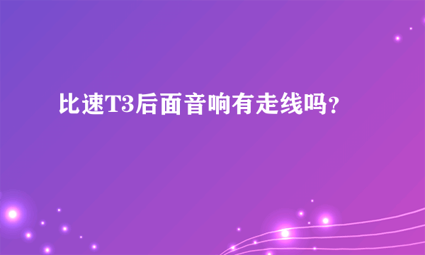 比速T3后面音响有走线吗？