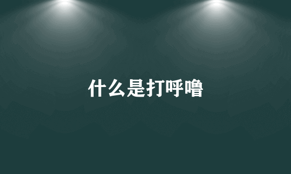 什么是打呼噜