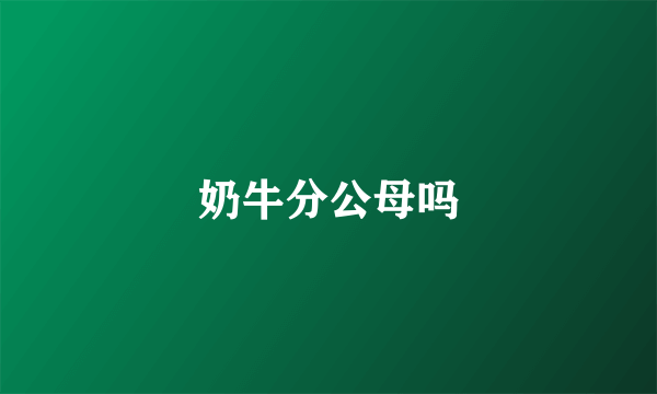 奶牛分公母吗