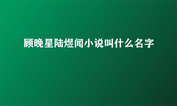 顾晚星陆煜闻小说叫什么名字