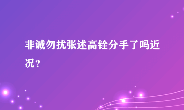 非诚勿扰张述高铨分手了吗近况？