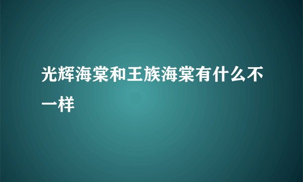 光辉海棠和王族海棠有什么不一样