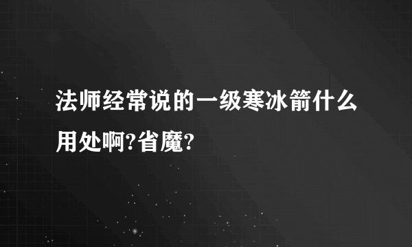法师经常说的一级寒冰箭什么用处啊?省魔?
