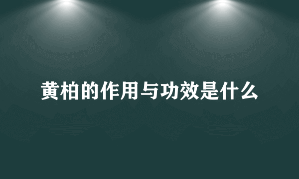 黄柏的作用与功效是什么