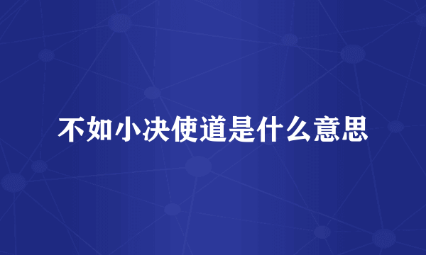 不如小决使道是什么意思