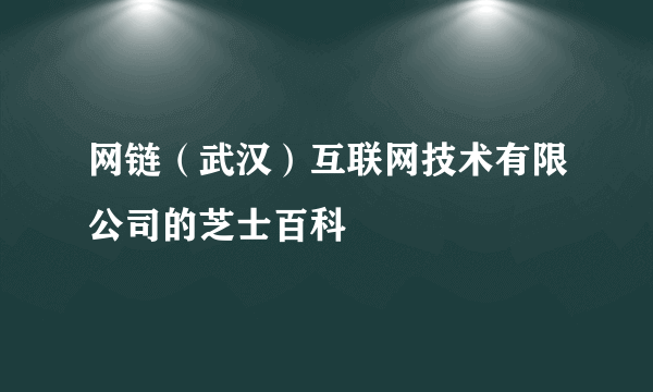 网链（武汉）互联网技术有限公司的芝士百科