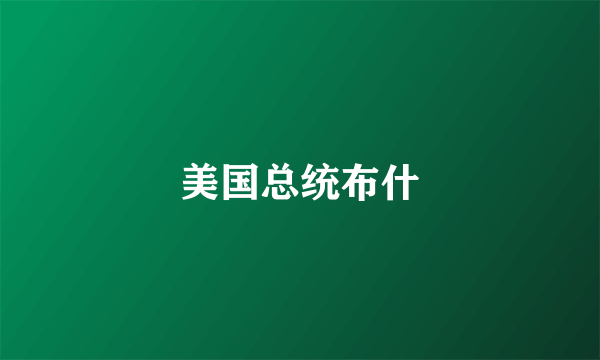 美国总统布什