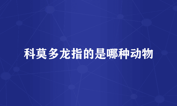 科莫多龙指的是哪种动物