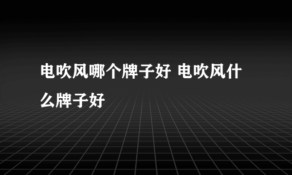 电吹风哪个牌子好 电吹风什么牌子好