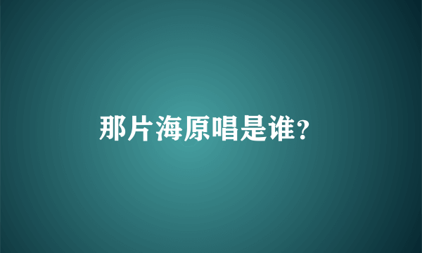 那片海原唱是谁？