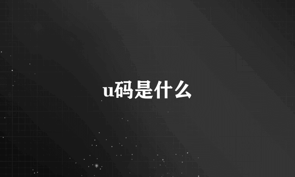 u码是什么
