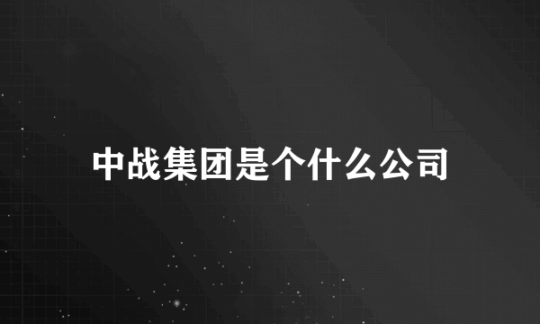 中战集团是个什么公司