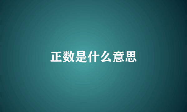 正数是什么意思