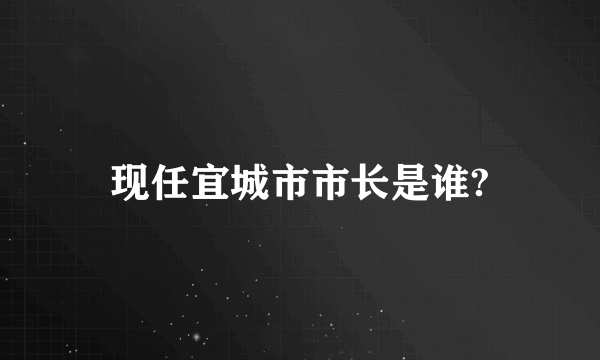 现任宜城市市长是谁?
