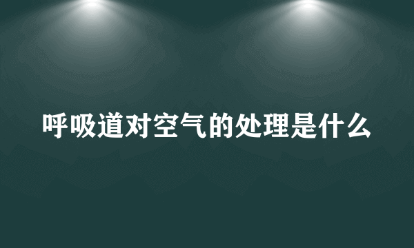 呼吸道对空气的处理是什么