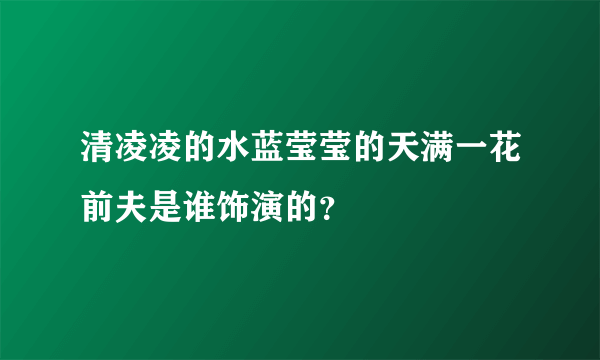 清凌凌的水蓝莹莹的天满一花前夫是谁饰演的？