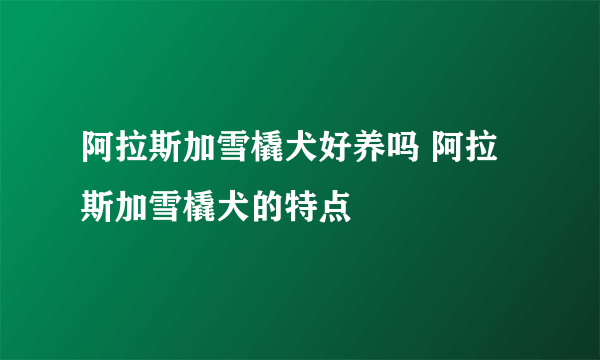 阿拉斯加雪橇犬好养吗 阿拉斯加雪橇犬的特点