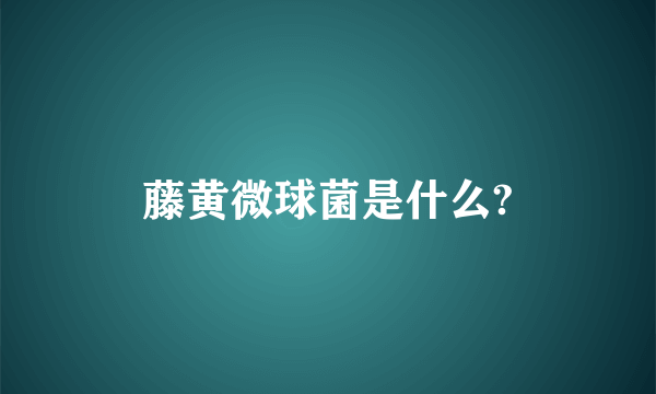 藤黄微球菌是什么?