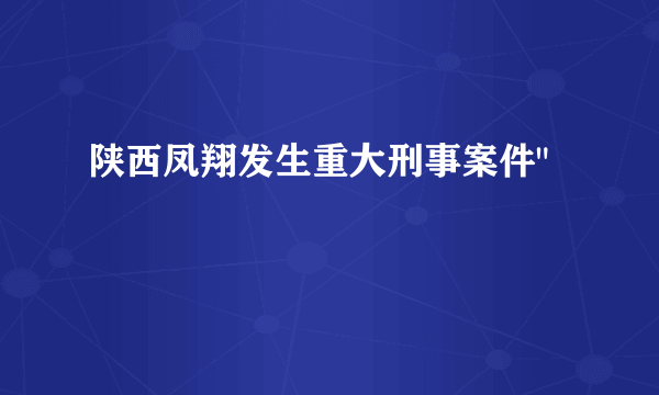 陕西凤翔发生重大刑事案件