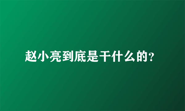 赵小亮到底是干什么的？