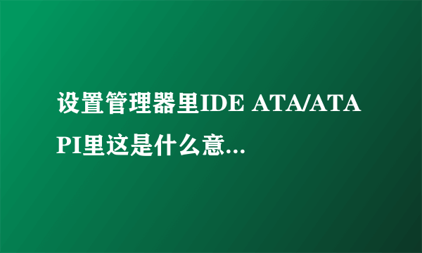 设置管理器里IDE ATA/ATAPI里这是什么意思.请教高手