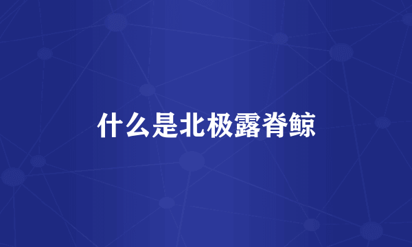 什么是北极露脊鲸
