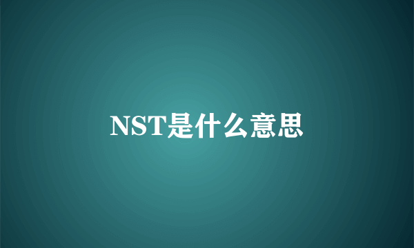 NST是什么意思